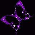 PBImg023.gif, 2 KB