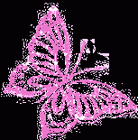 Rozle leptiric.gif, 10 KB
