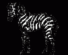 Zebrica.gif, 13 KB